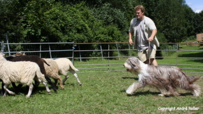 Jenny ruhig und konzentriert.