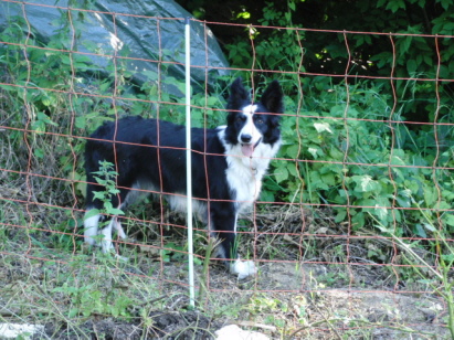 Lucy kanns kaum erwarten, bis sie dran ist!