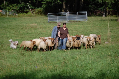 Bernd und Zooey an der großen Herde.