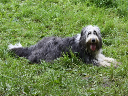 Enya ganz glücklich