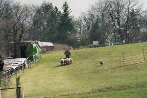 Carlotta 2009 bei Claus Börner Carlotta 2009 bei Claus Börner