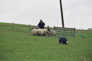 Imaya 2009 bei Claus Börner Imaya 2009 bei Claus Börner