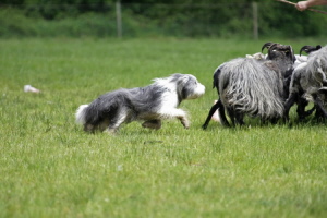 Carlotta 2008 Carlotta 2008