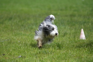 Carlotta 2008 Carlotta 2008