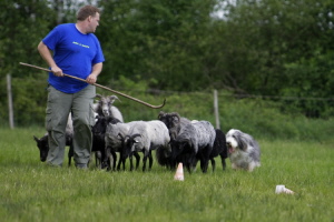 Carlotta 2008 Carlotta 2008