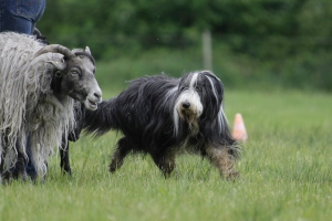 Imaya 2008 Imaya 2008