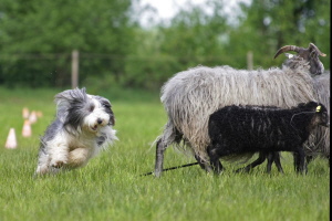 Carlotta 2008 Carlotta 2008