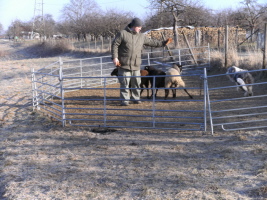 Carlotta 2009 bei Hanny Carlotta 2009 bei Hanny