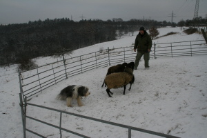 Carlotta 2009 bei Hanny Carlotta 2009 bei Hanny