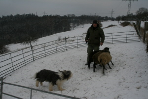 Carlotta 2009 bei Hanny Carlotta 2009 bei Hanny
