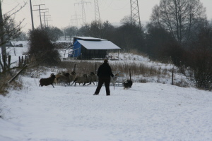 Imaya 2009 bei Hanny Imaya 2009 bei Hanny