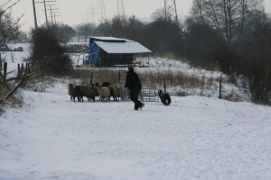 Imaya 2009 bei Hanny Imaya 2009 bei Hanny