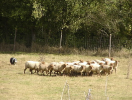 Imaya 2008 bei Gert Buchholz Imaya 2008 bei Gert Buchholz