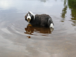 Imaya Schweden 2005 Imaya Schweden 2005