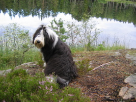 Imaya Schweden 2005 Imaya Schweden 2005