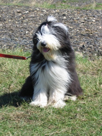 Imaya Schweden 2005 Imaya Schweden 2005