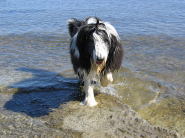 Imaya Schweden 2005 Imaya Schweden 2005