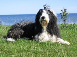 Imaya Schweden 2005 Imaya Schweden 2005