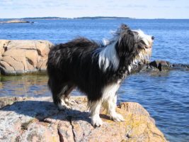 Imaya Schweden 2005 Imaya Schweden 2005