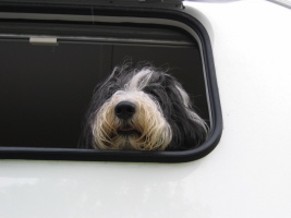 Imaya Schweden 2006 Imaya Schweden 2006