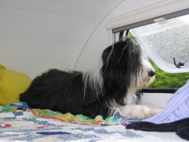 Imaya Schweden 2006 Imaya Schweden 2006