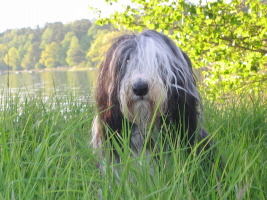 Imaya Schweden 2006 Imaya Schweden 2006