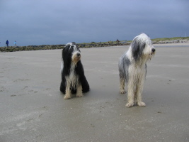 Imaya & Carlotta Dänemark 2007 Imaya & Carlotta Dänemark 2007