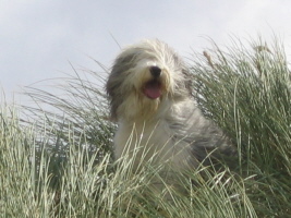 Carlotta Dänemark 2007 Carlotta Dänemark 2007